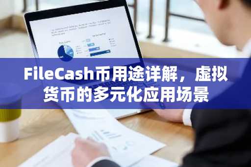 FileCash币用途详解,虚拟货币的多元化应用场景