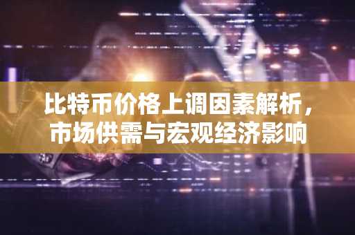 比特币价格上调因素解析，市场供需与宏观经济影响