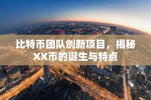 比特币团队创新项目，揭秘XX币的诞生与特点