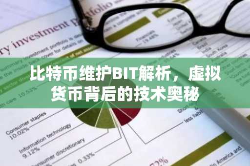 比特币维护BIT解析,虚拟货币背后的技术奥秘