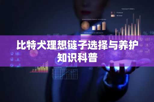 比特犬理想链子选择与养护知识科普