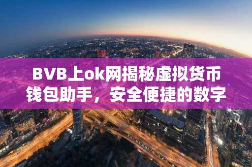 BVB上ok网揭秘虚拟货币钱包助手,安全便捷的数字资产管理利器