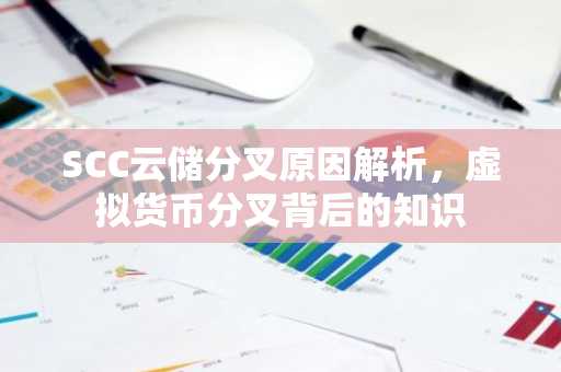 SCC云储分叉原因解析,虚拟货币分叉背后的知识