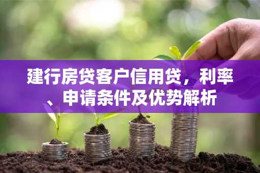 建行房贷客户信用贷,利率、申请条件及优势解析