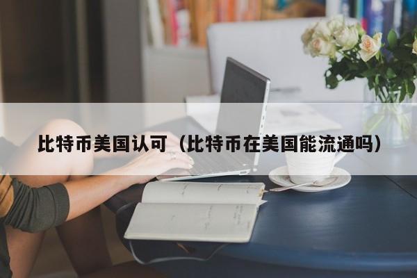 比特币美国认可(比特币在美国能流通吗)