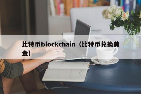 比特币blockchain(比特币兑换美金)