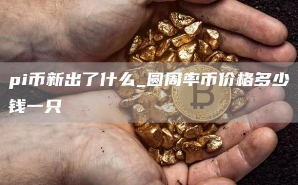 pi币新出了什么_圆周率币价格多少钱一只