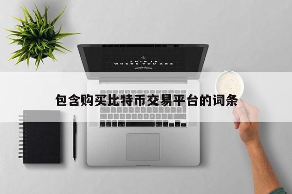 包含购买比特币交易平台的词条