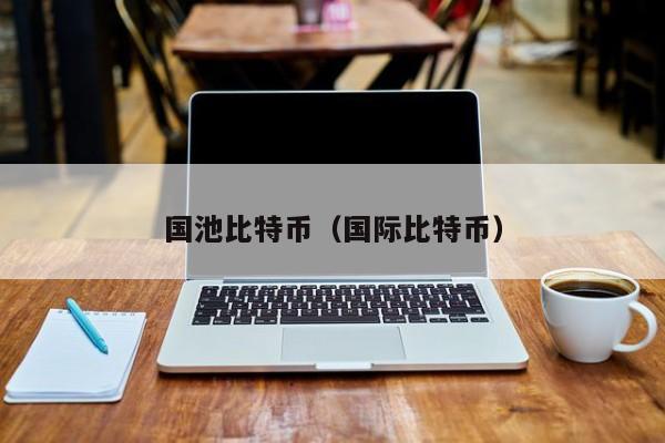 国池比特币(国际比特币)