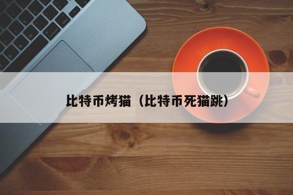 比特币烤猫(比特币死猫跳)