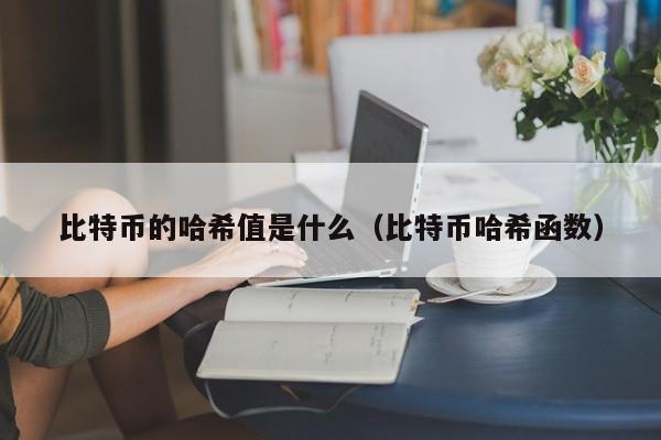 比特币的哈希值是什么(比特币哈希函数)