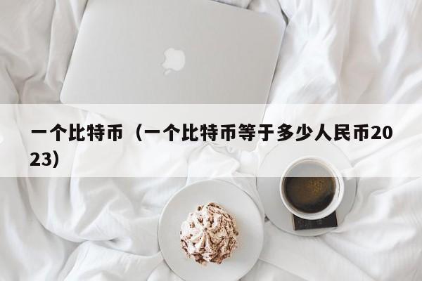 一个比特币(一个比特币等于多少人民币2023)