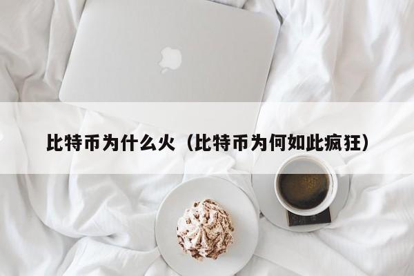比特币为什么火(比特币为何如此疯狂)