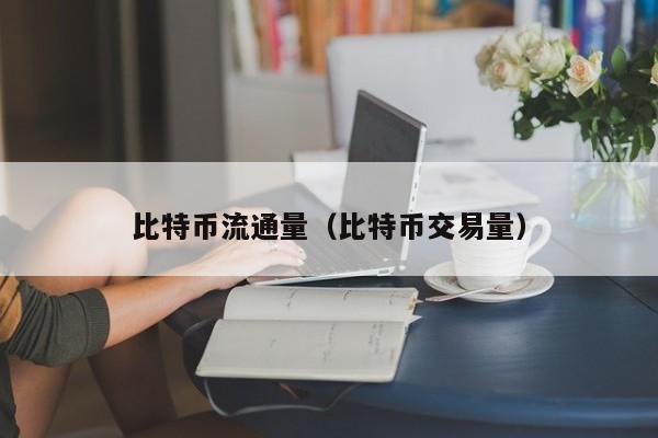 比特币流通量（比特币交易量）