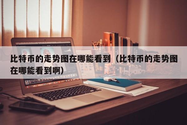 比特币的走势图在哪能看到（比特币的走势图在哪能看到啊）
