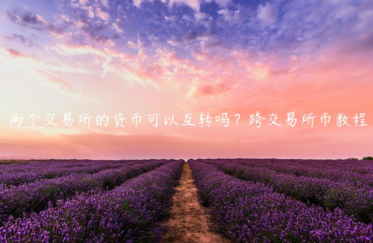 两个 交易平台的货币可以互转吗?跨 交易平台币教程
