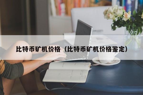 比特币矿机价格(比特币矿机价格鉴定)