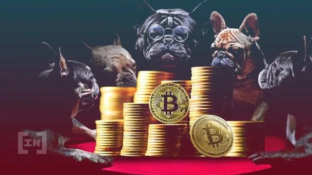 btc为什么,btc会不会归零