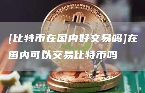 [比特币在国内好交易吗]在国内可以交易比特币吗