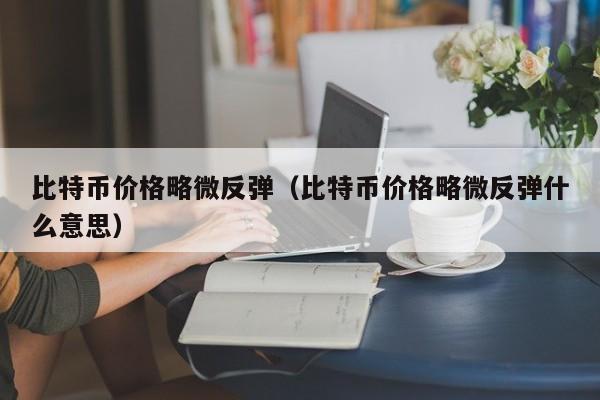 比特币价格略微反弹(比特币价格略微反弹什么意思)