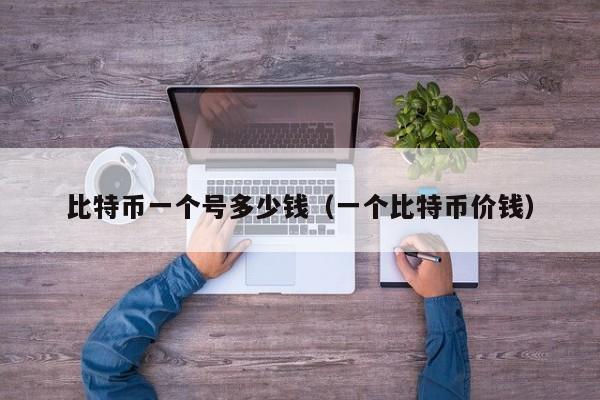 比特币一个号多少钱(一个比特币价钱)