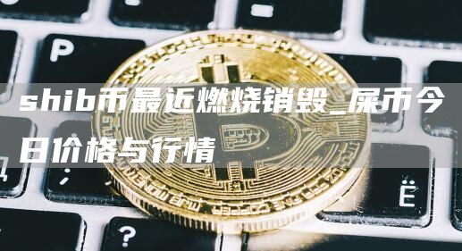 shib币最近燃烧销毁_屎币今日价格与行情