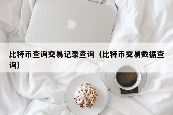 比特币查询交易记录查询(比特币交易数据查询)