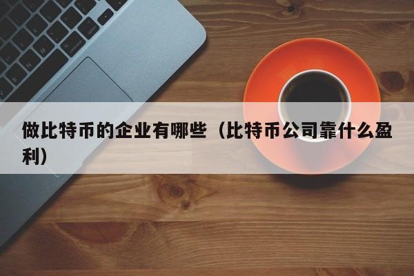 做比特币的企业有哪些(比特币公司靠什么盈利)