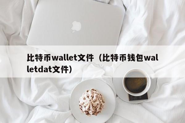 比特币wallet文件（比特币钱包walletdat文件）