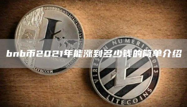 bnb币2021年能涨到多少钱的简单介绍