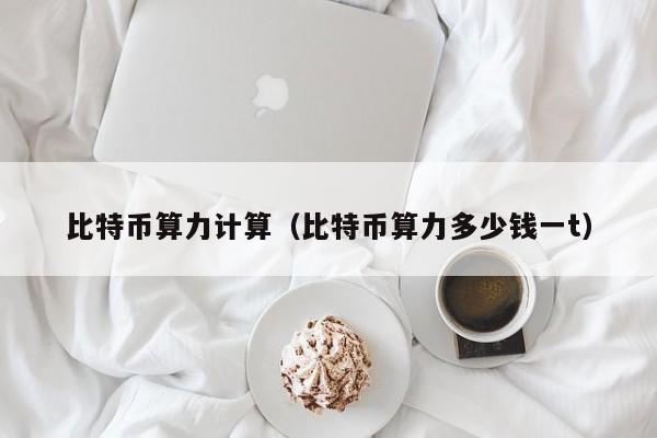 比特币算力计算(比特币算力多少钱一t)