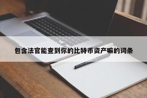 包含法官能查到你的比特币资产嘛的词条