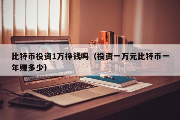 比特币投资1万挣钱吗(投资一万元比特币一年赚多少)
