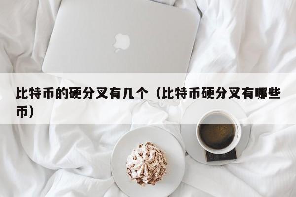 比特币的硬分叉有几个(比特币硬分叉有哪些币)