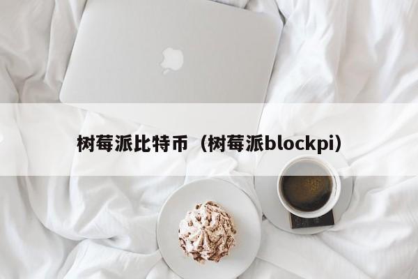树莓派比特币(树莓派blockpi)