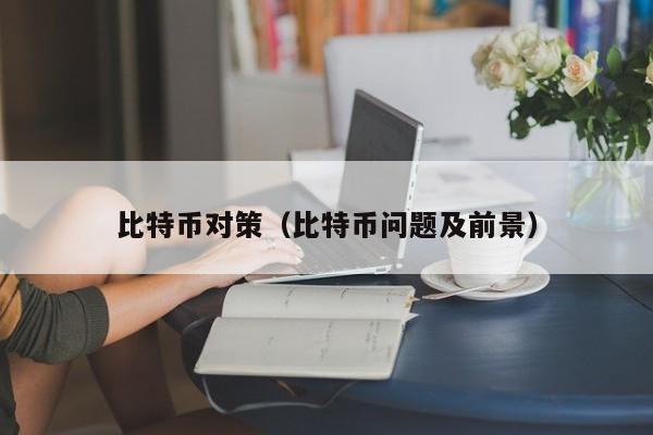 比特币对策(比特币问题及前景)