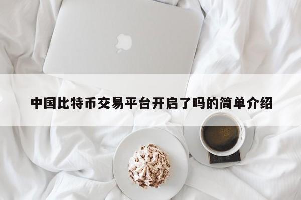 中国比特币交易平台开启了吗的简单介绍