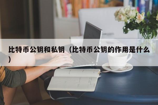 比特币公钥和私钥（比特币公钥的作用是什么）