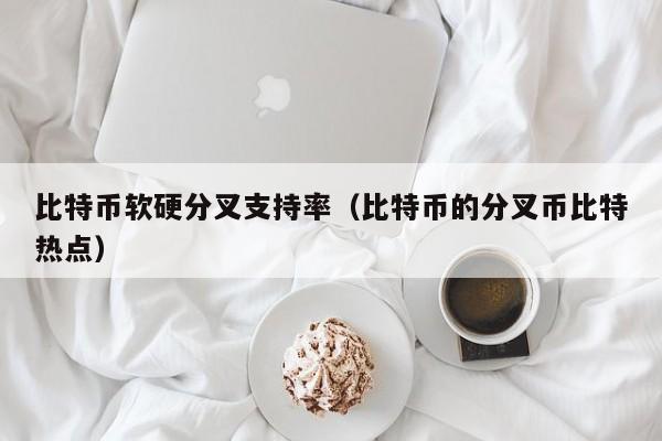 比特币软硬分叉支持率(比特币的分叉币比特热点)