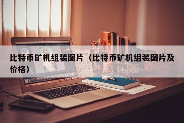 比特币矿机组装图片(比特币矿机组装图片及价格)