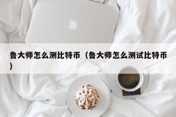鲁大师怎么测比特币（鲁大师怎么测试比特币）