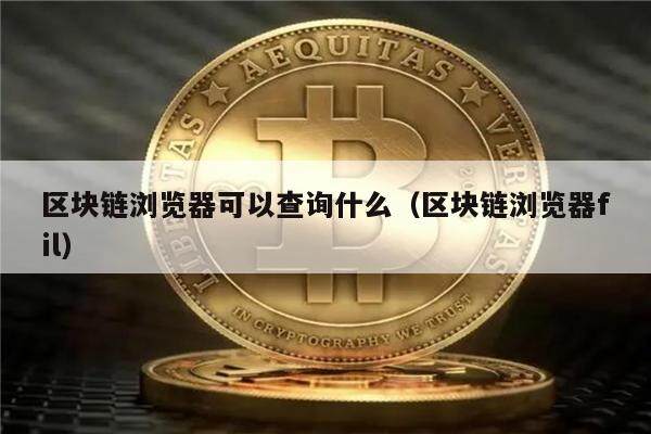 区块链浏览器可以查询什么(区块链浏览器fil)