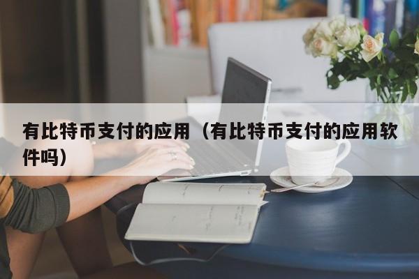 有比特币支付的应用(有比特币支付的应用软件吗)
