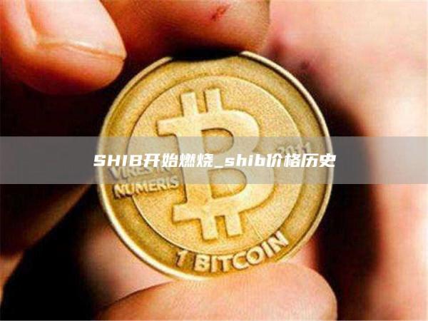 SHIB开始燃烧_shib价格历史