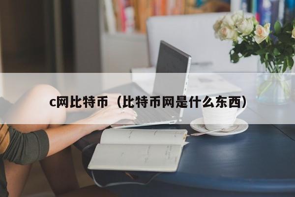 c网比特币(比特币网是什么东西)