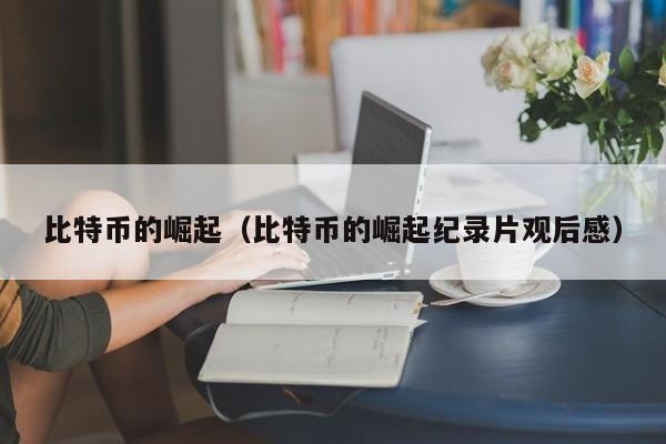 比特币的崛起(比特币的崛起纪录片观后感)