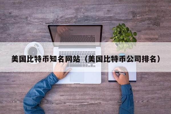 美国比特币知名网站(美国比特币公司排名)