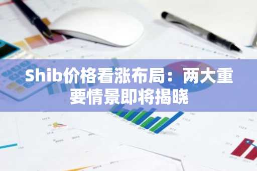Shib价格看涨布局:两大重要情景即将揭晓