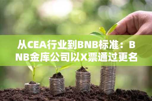 从CEA行业到BNB标准:BNB金库公司以X票通过更名决议