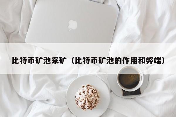比特币矿池采矿(比特币矿池的作用和弊端)